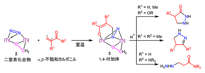 二窒素化合物2とさまざまなα,β-不飽和カルボニル化合物からのヒドラジン誘導体合成の図