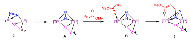 二窒素化合物2とアクリル酸メチルとの反応の詳しい反応経路の図