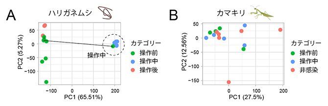 ハリガネムシとカマキリから得た遺伝子発現プロファイルの主成分分析の図