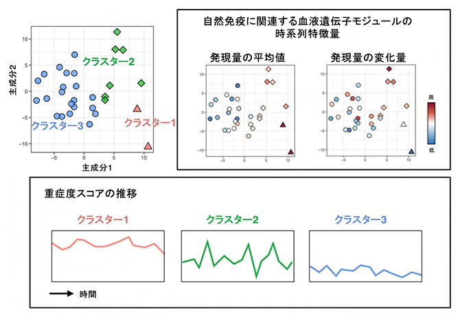 血液遺伝子発現の時系列特徴量に基づき見いだされた三つの患者クラスターの図