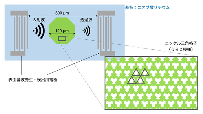 実験セットアップの模式図の画像