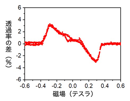 表面音波透過率の差の磁場依存性の測定結果の図