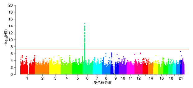 カルバマゼピンによる薬疹発症患者におけるメタ解析の結果の図