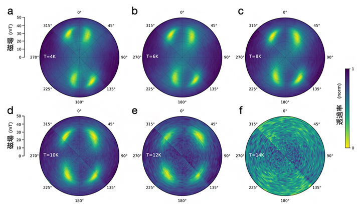 超音波透過率の磁場依存性の図