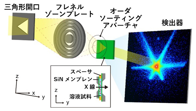 溶液中の金コロイド粒子に対するコヒーレントX線回折実験の模式図の画像