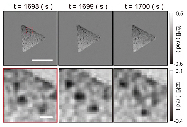 動的CXDIによって得られたポリビニルアルコール水溶液中の金粒子の位相回復像の図