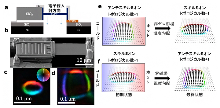 Schematic illustration of a device made from a thin FNPP sheet and experimental results using the device