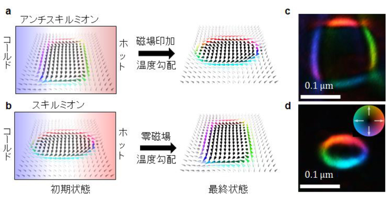 Mutual conversion of skyrmions and antiskyrmions by heat flow  RIKEN
