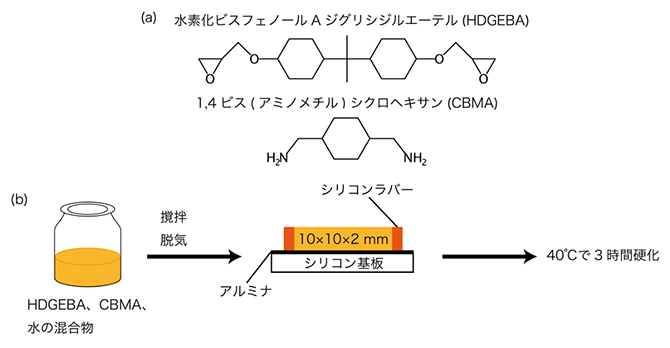 水が加わったことによる影響を観察するための接着樹脂サンプルの準備の図