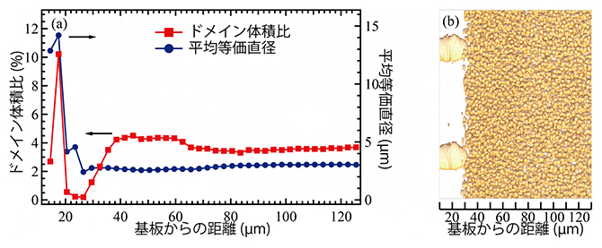 転移学習を用いたX線CT画像解析により抽出された特徴量とドメインの図