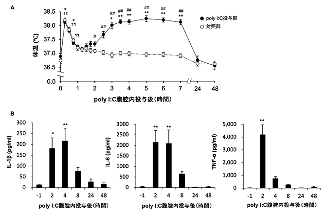 ラット腹腔への疑似感染に伴う急性症状の図