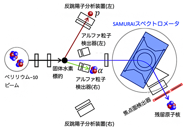 実験の概要図