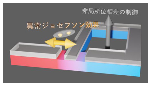 本研究結果の概念図の画像