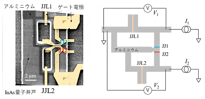 実験に用いた素子の電子線顕微鏡写真と模式図の画像