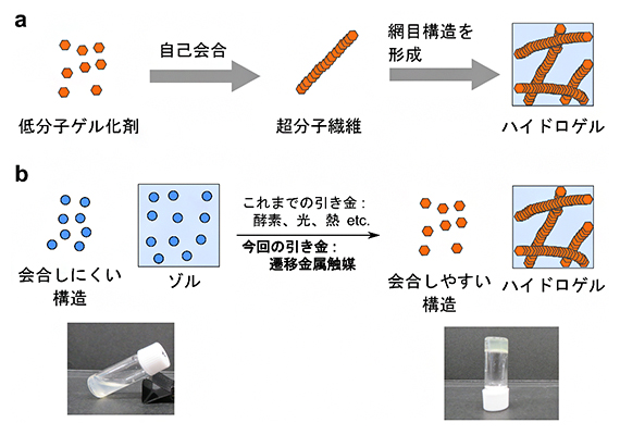 低分子ゲル化剤のゲル形成の図