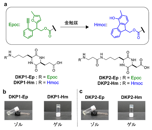 開発したゲル化剤の化学構造とゲル化特性の図