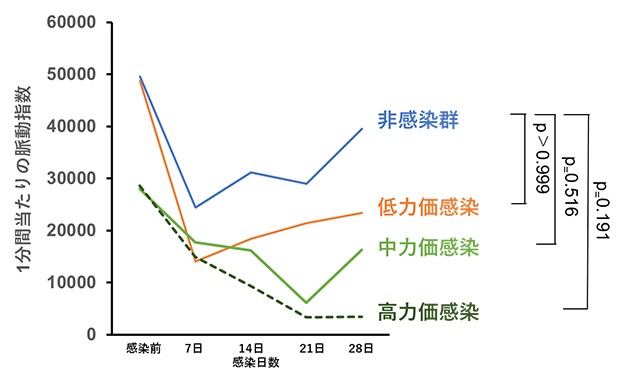 SARS-COV-2感染後心機能の経時変化の図