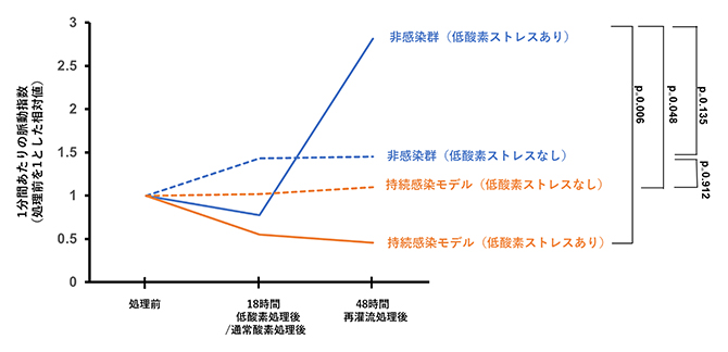 低酸素ストレス処理前後の心機能の変化の図