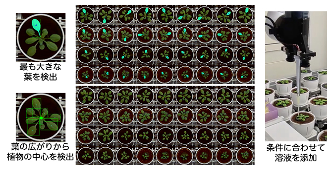 植物サンプルに対する自律実験の図