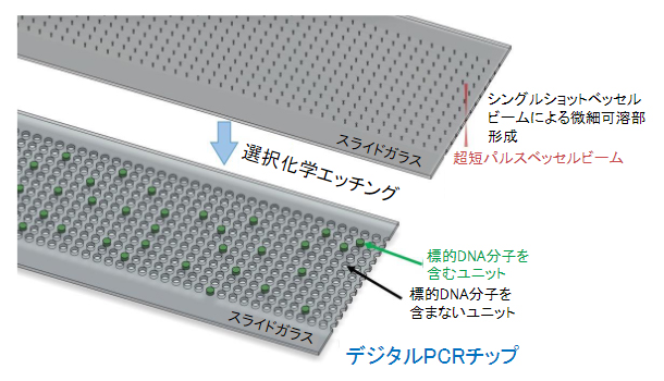 超短パルスベッセルビームによるデジタルPCRチップの高速作製の図