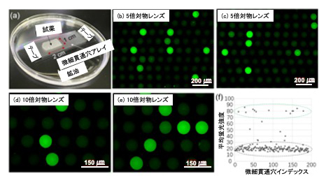 作製したチップのデジタルRPAへの応用の図