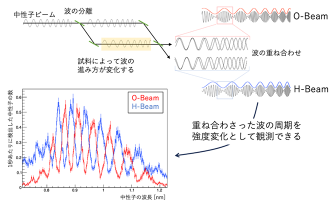 開発した中性子干渉計の概略図と観測された干渉縞の図