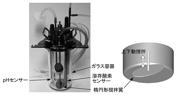 上下動撹拌培養装置（200mL）の概要の図