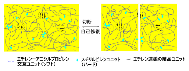 新しい機能性ポリマーのナノ相分離構造の模式図と自己修復のメカニズムの図