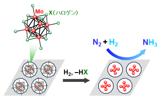 アンモニア合成概念図の画像