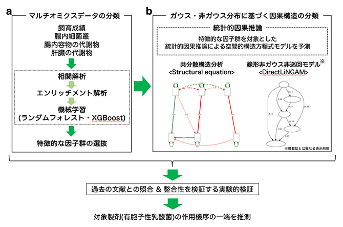 本研究の方法と手順の図