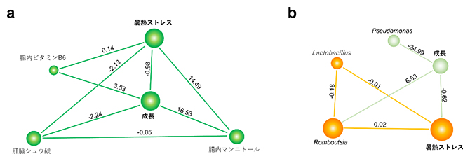 因果構造の概要の図