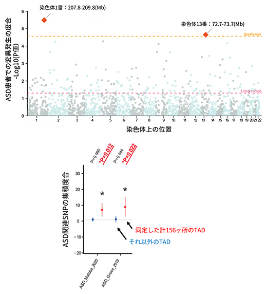 ASD患者特異的に変異が集中するTADのゲノムワイドな解析の図
