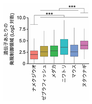 遺伝子当たりの遺伝子制御領域の数の比較の図