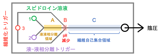 人工クモ糸繊維形成に使用するマイクロ流体デバイスの模式図の画像