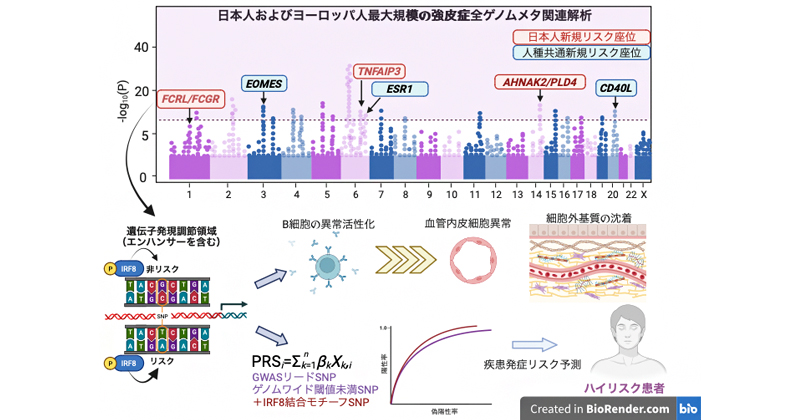アジア最大の強皮症全ゲノム関連解析