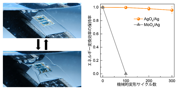 水中で圧縮歪みと復元を繰り返す機械的変形を加える試験の図