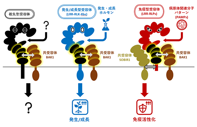 研究概要図