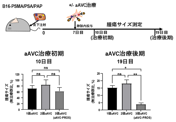 多価aAVCによる抗腫瘍効果の比較の図