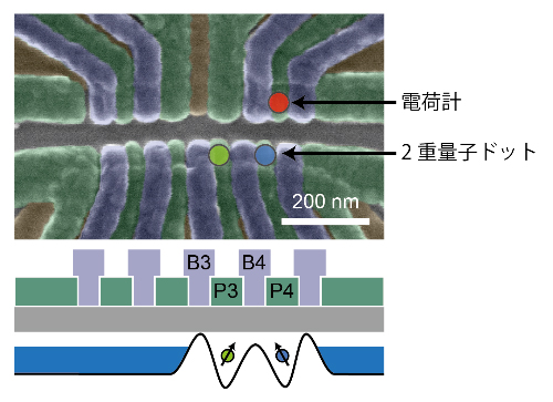 シリコン量子ドット試料の図