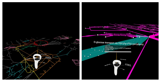 VRアプリケーション上に可視化された代謝ネットワークの例の図