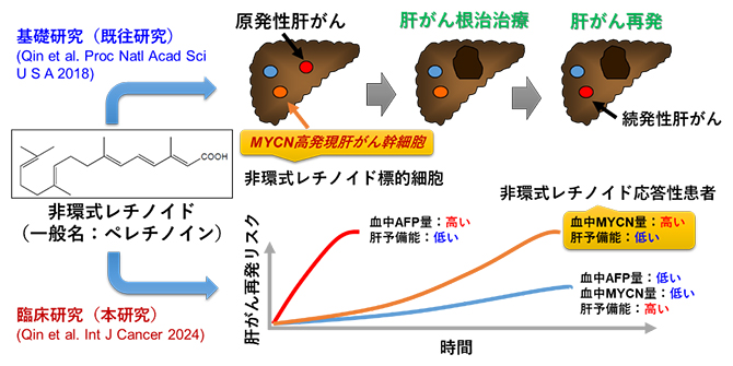 研究概要の画像