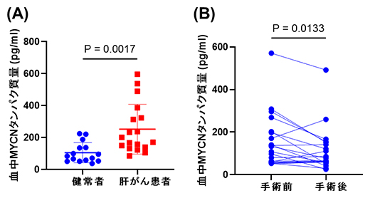 血中MYCN量と肝がんとの関連の図