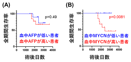 血中MYCN量と肝がん予後との関連の図