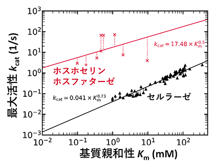 各酵素における基質親和性(Km)と最大活性(kcat)の関係の図