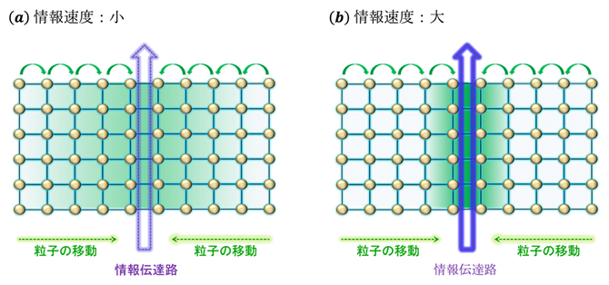 Image of a schematic diagram for accelerating the propagation of quantum entanglement