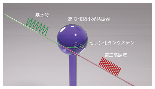 高Q値微小光共振器と原子1層分の2次元材料を組み合わせた高効率波長変換の模式図の画像