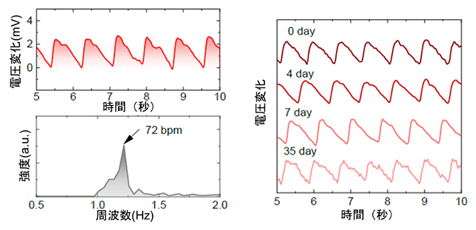 「3層構造塗布プロセス」によるウエアラブル超薄型光脈波センサーの図