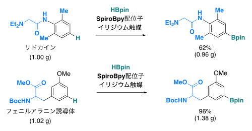 本反応を用いた医薬品などの官能基化の例の図