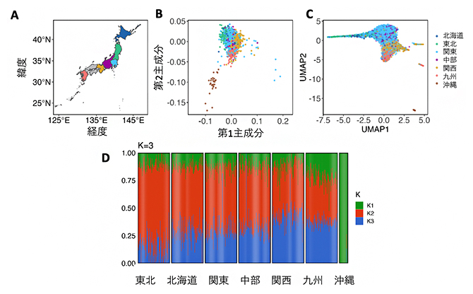 全ゲノムシーケンスデータを使用した日本人集団構造結果の図