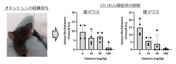 経鼻投与したオキシトシンによるけいれん様症状の抑制の図